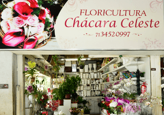 Floricultura Chácara Celeste